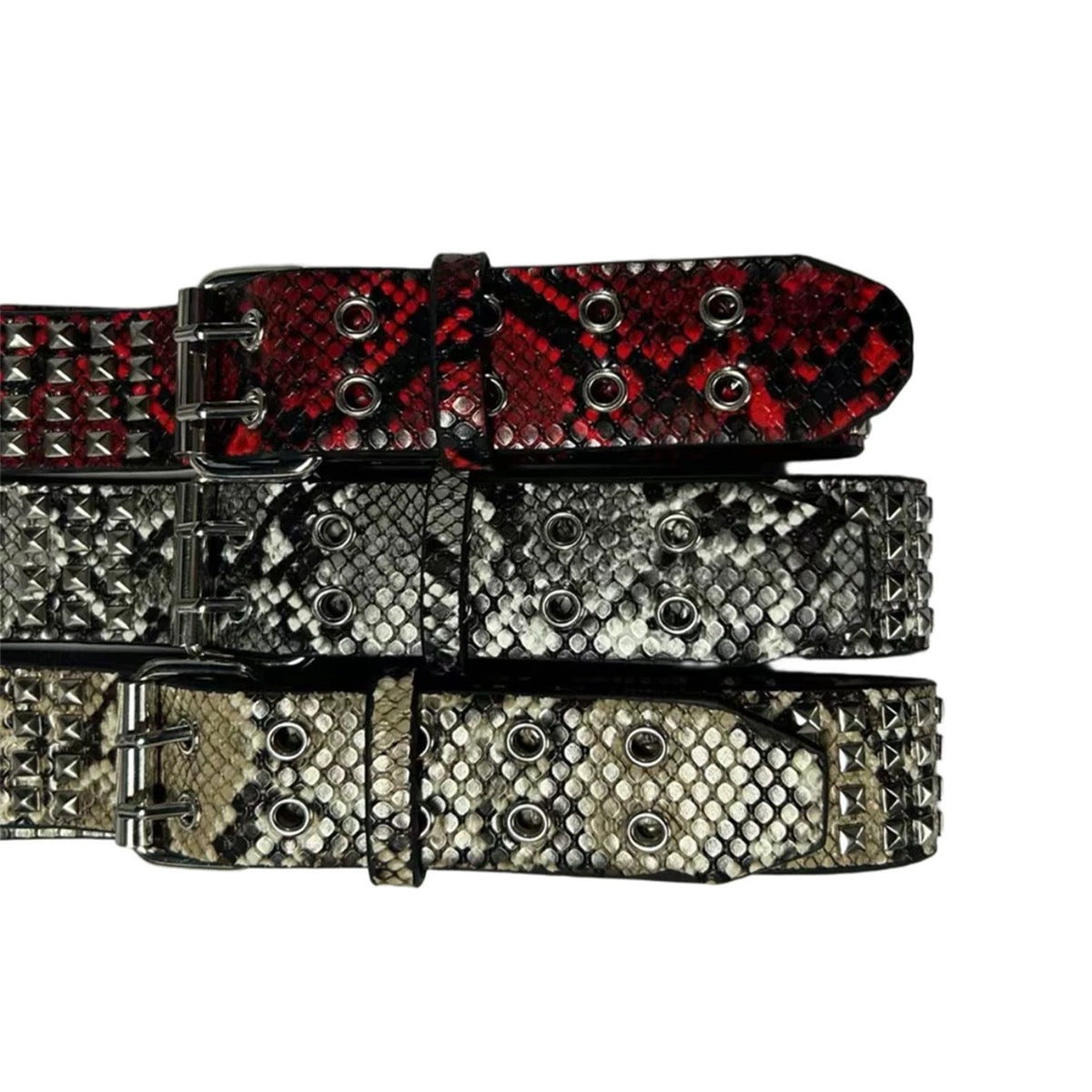 python studs belt